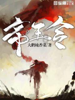 小仓鼠吃瓜子